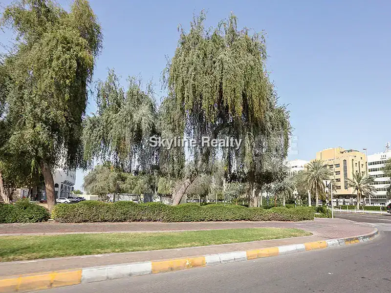 Mohammed Bin Zayed Corner Villa | 3 Streets | Investment Opportunity 10